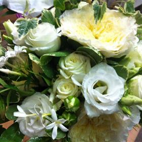 fwthumb2015-07-04 10.13.30.jpg